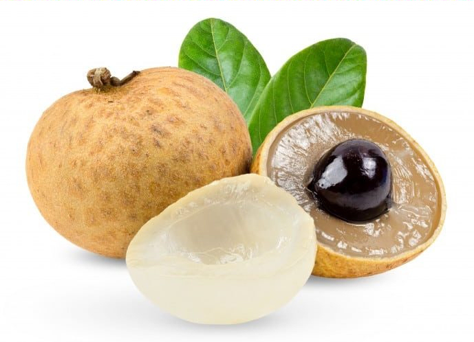 longan plant