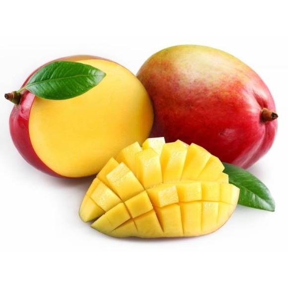 mango tree